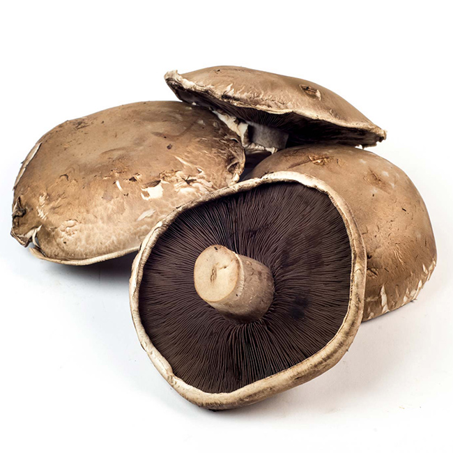 Mushrooms Portobello Cello Pak :12 Ozs: ((Each))
