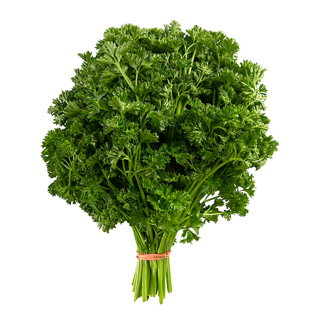Parsley Curly :60: ((Bunch))