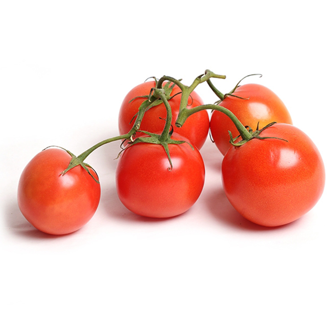 Tomatoes Red Cluster :5Kg: ((Lb))
