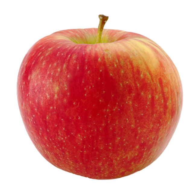 Apples Honey Crisp :72: ((Piece))