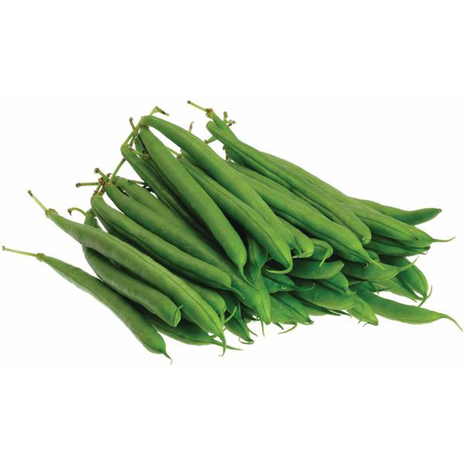 Beans Green Hand Picked :25 Lbs: ((Lb))