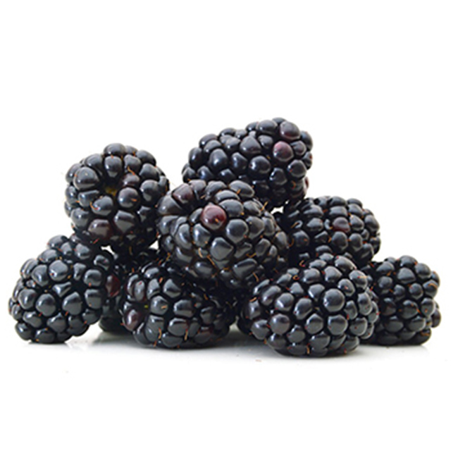Blackberries :12: ((Pkg))