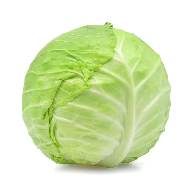 Cabbage Green :16`S: ((Piece))