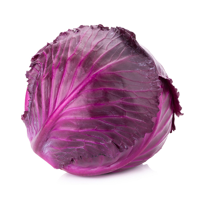 Cabbage Red :16`S: ((Piece))