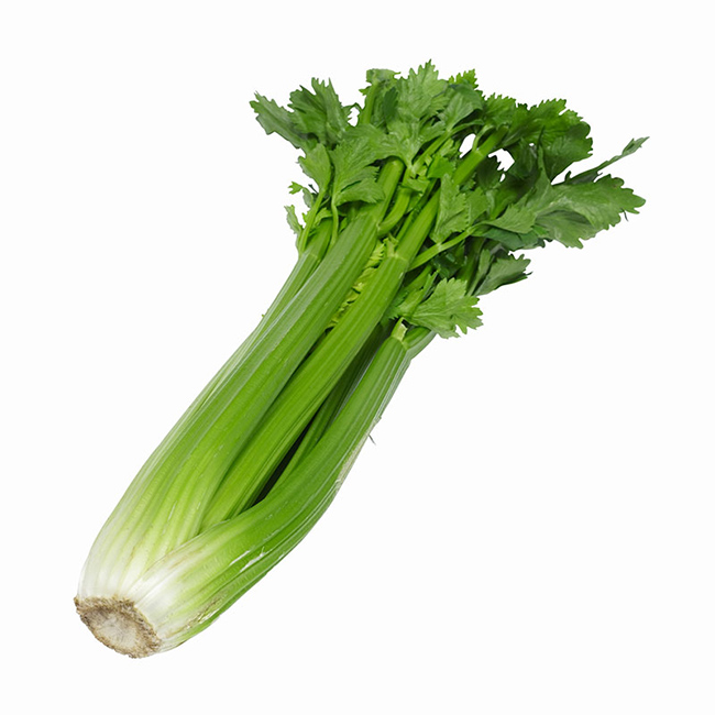 Celery :24