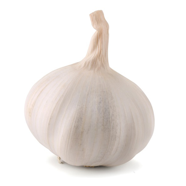 Garlic X-Large :30 Lbs: ((Lb))