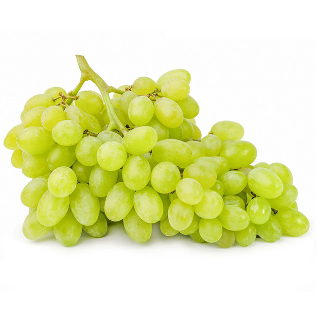 Grapes Green X-Fancy Seedless :18 Lbs: ((Lb))