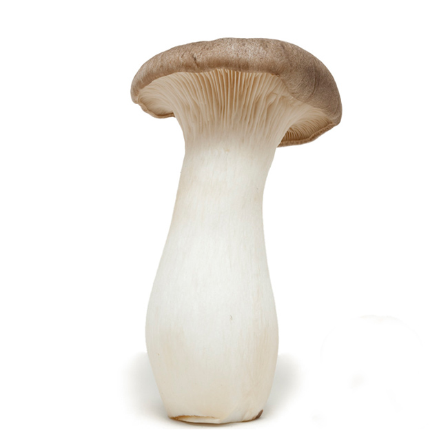 Mushrooms King Oyster :3 Lbs: ((Lb))