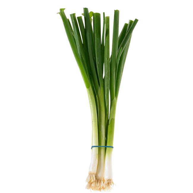 Onions Green :48: ((Bunch))