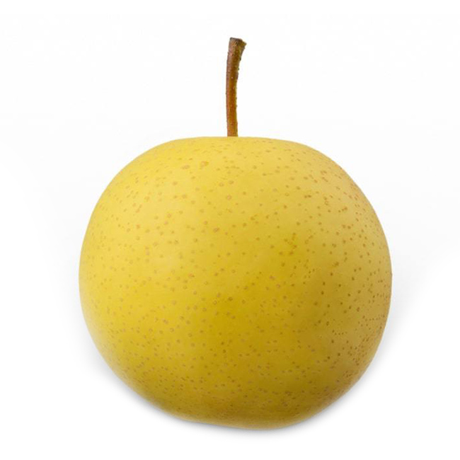 Pears Asian :18