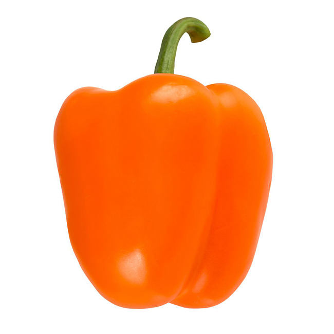 Peppers Orange :11 Lbs: ((Lb))
