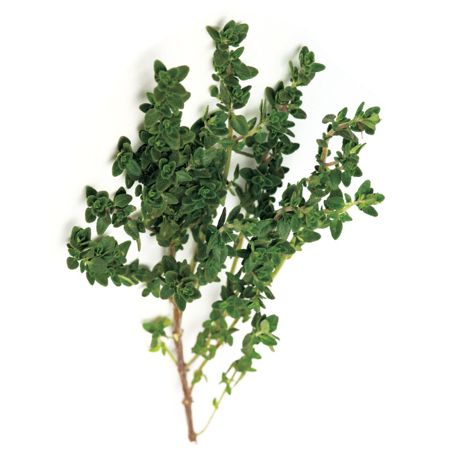 Thyme :12: ((Bunch))